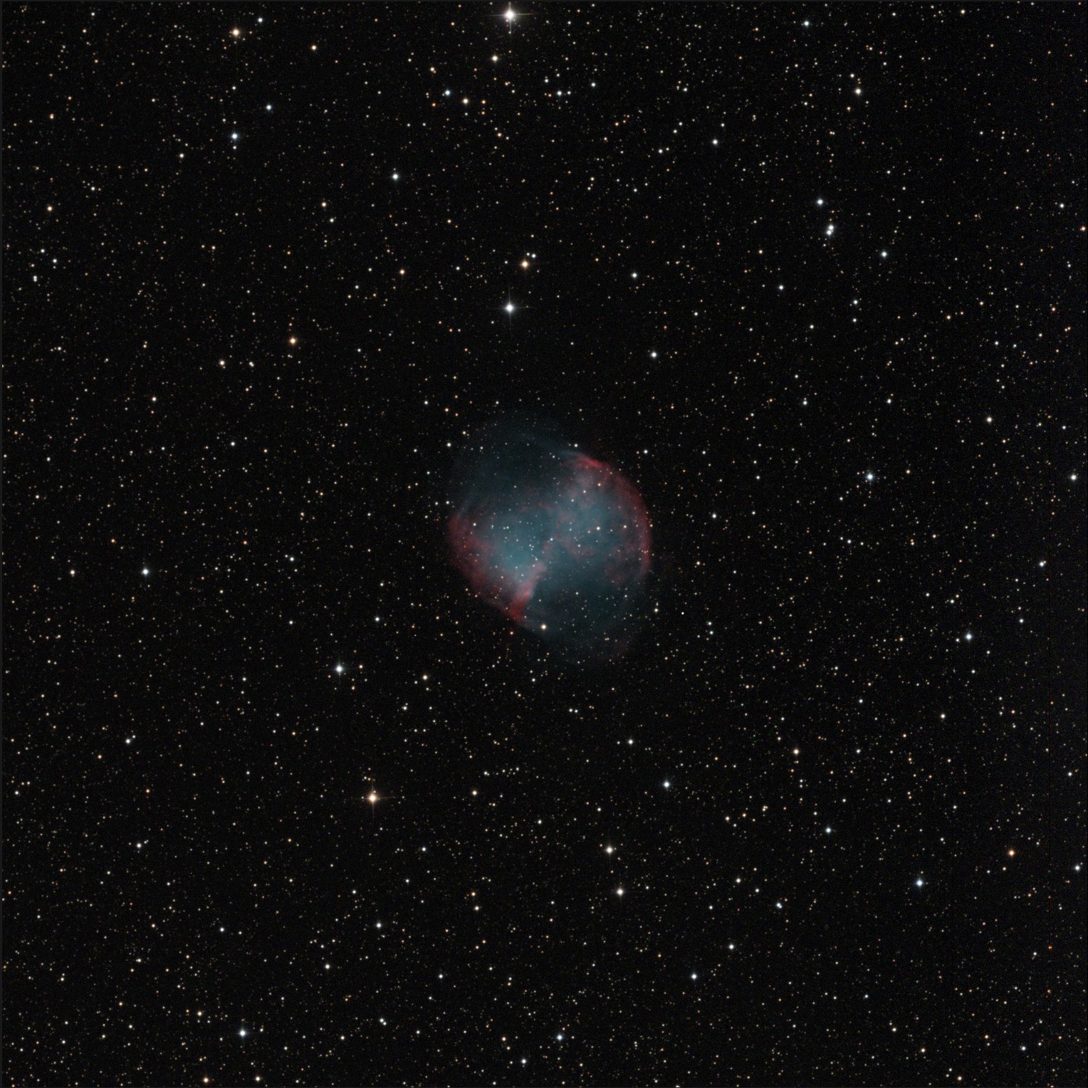 Photography — Astrophotography & Birding